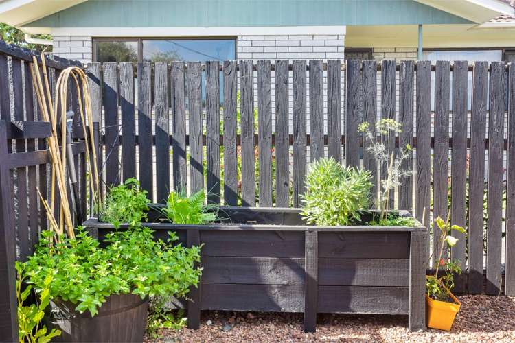 1/2 Vodanovich Road Te Atatu South_15