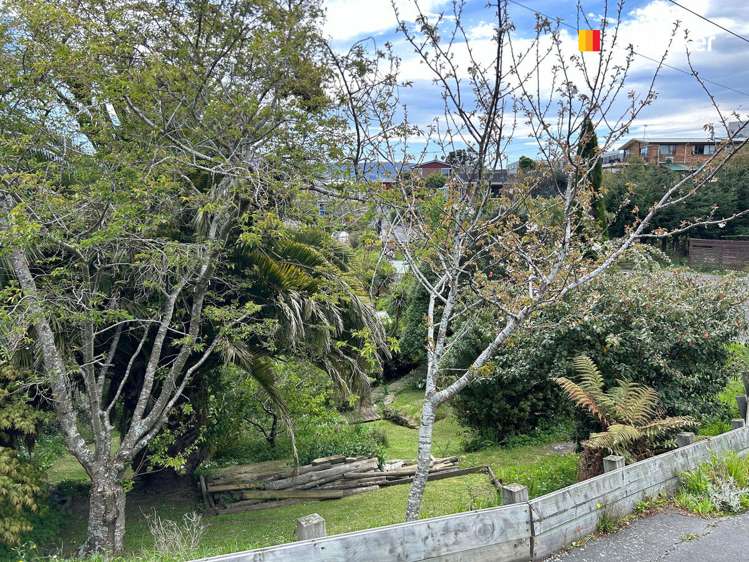 26 Mannering Street Waverley_24