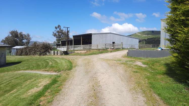 183 Gunn Road Waitepeka_15