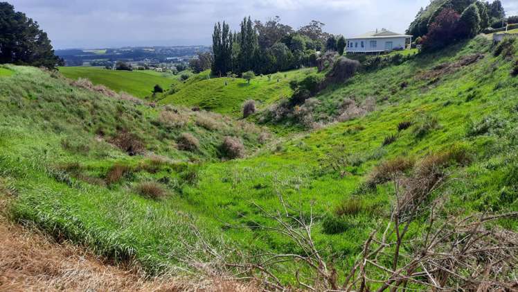 Milton State Highway Balclutha_6