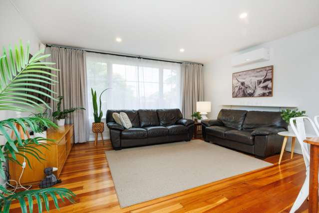76 Salisbury Street Ashhurst_2