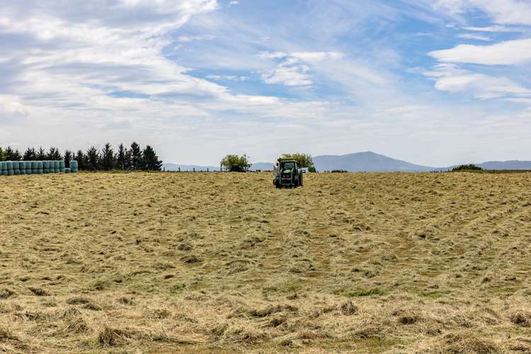 844 Oxford Road Fernside_28