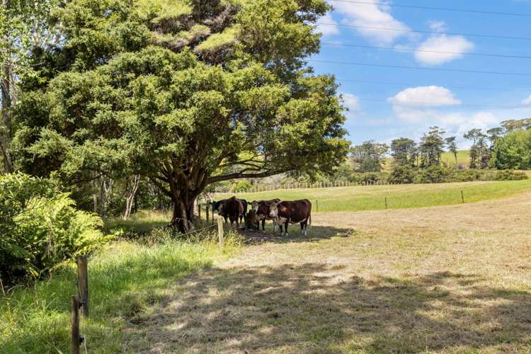 64 Aubrey Road Stillwater_9