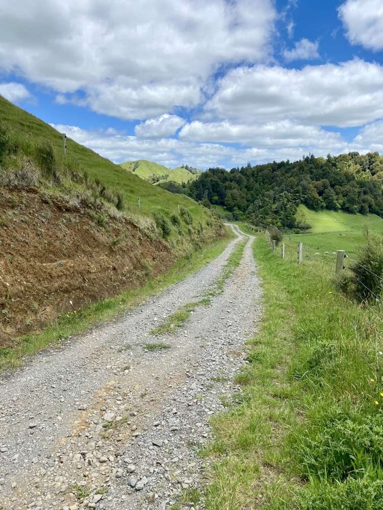 419 Motukawa Road Tarata_25