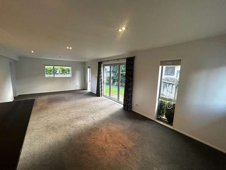 20A Emerson Street St Heliers_1