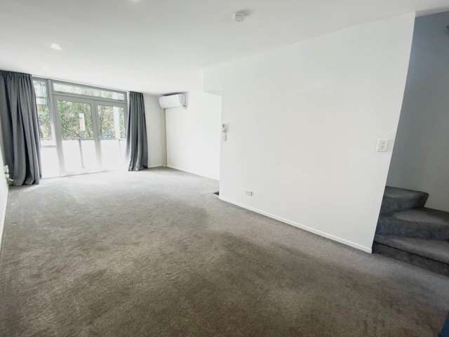 52m Ronayne Street Parnell_2