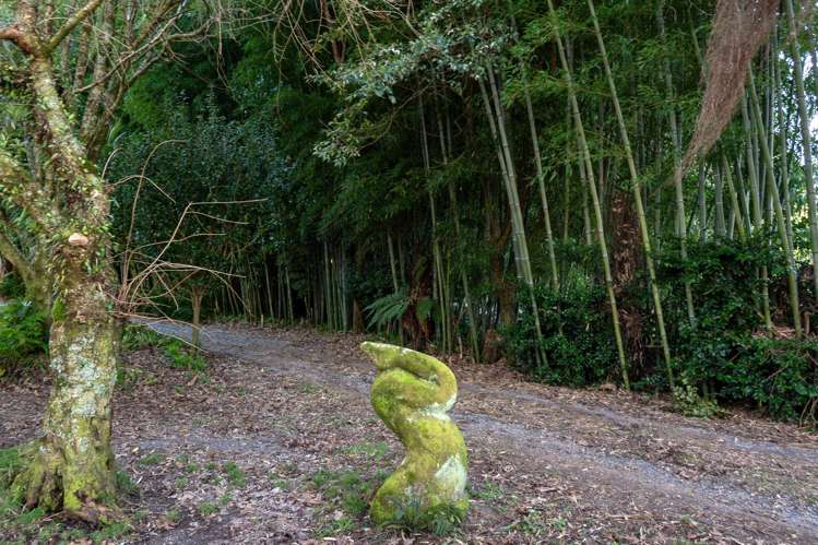 19 Turner Road Hamurana_26