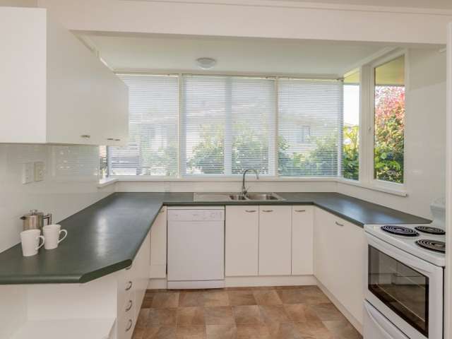 8b Conway Street Levin_4