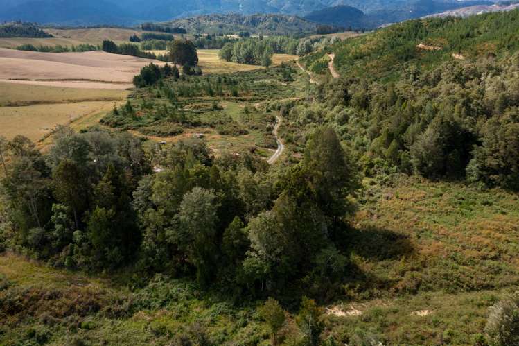 Waiwhero Road Ngatimoti_10