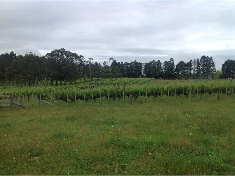 74 Guy Road Kaikohe_9