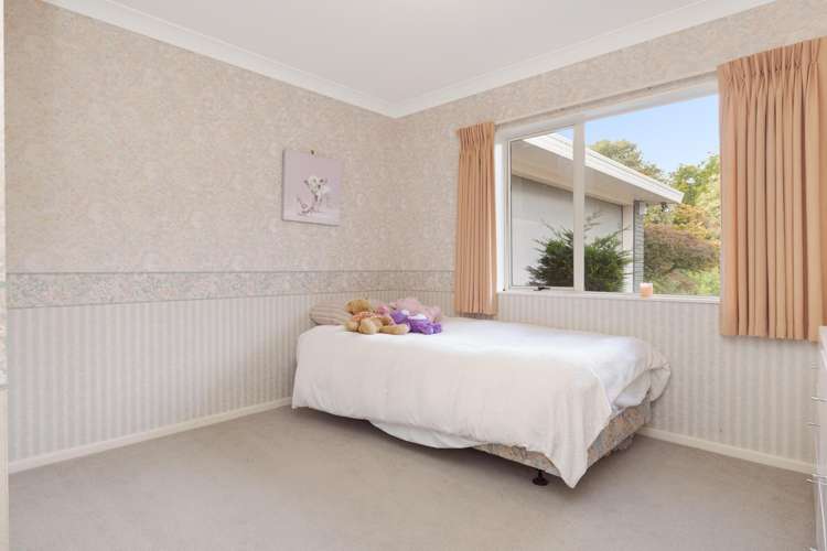 389 Old Highway Whakamarama_15
