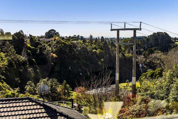 321b Mangorei Road Merrilands_47