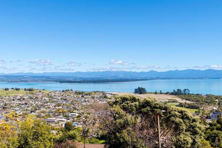 30 Orakei Street Tahunanui_6