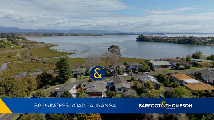 86 Princess Road Bellevue_33