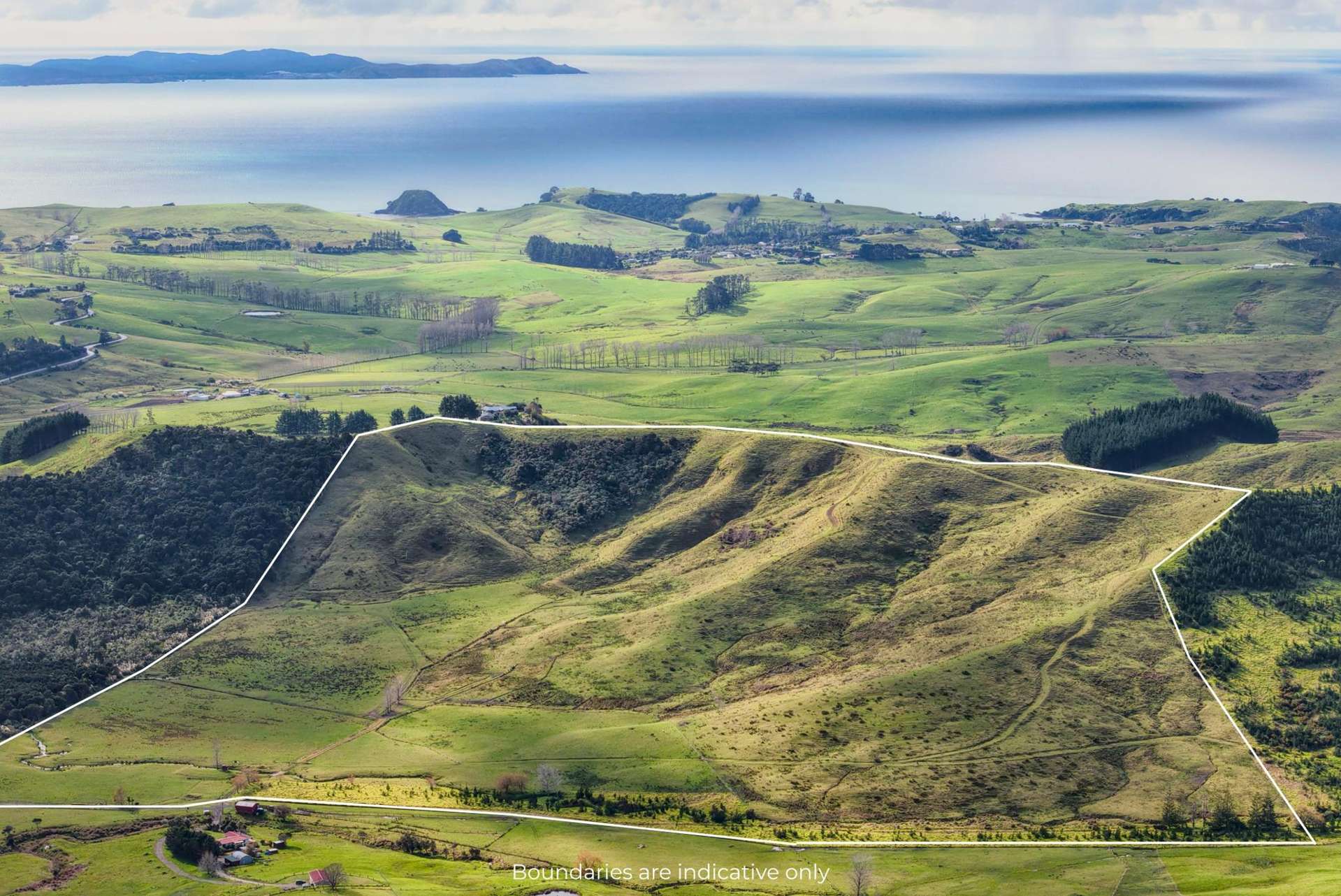 Te Moho Road Taipa_0
