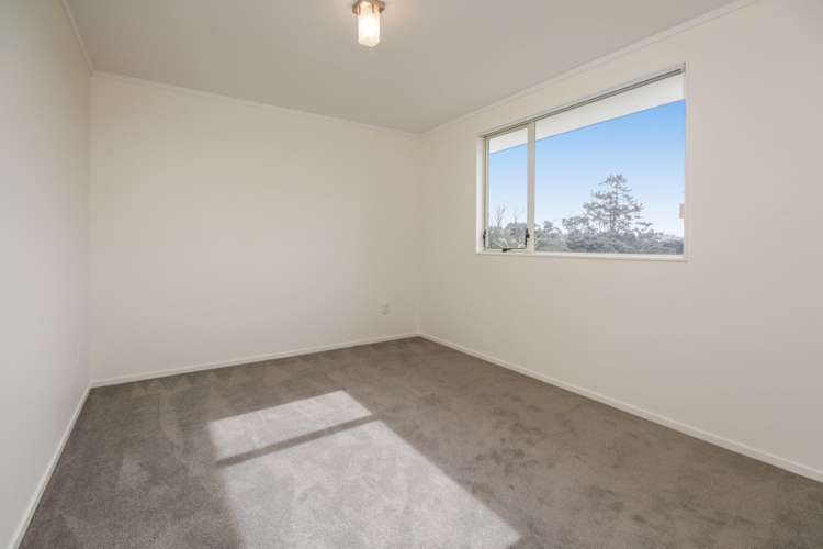 33 Hewlett Road Massey_14