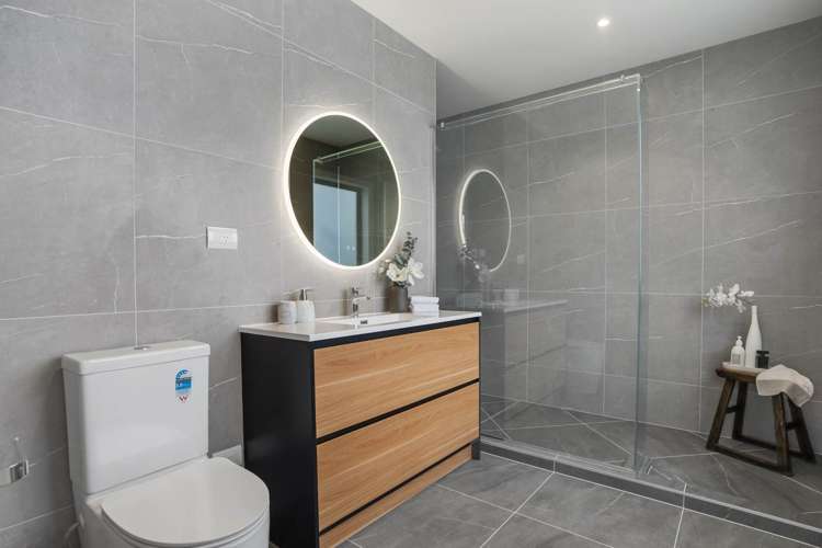 17 Dexter Avenue Mount Eden_19