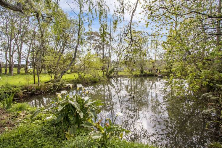 493a Golden Valley Road Waihi_11