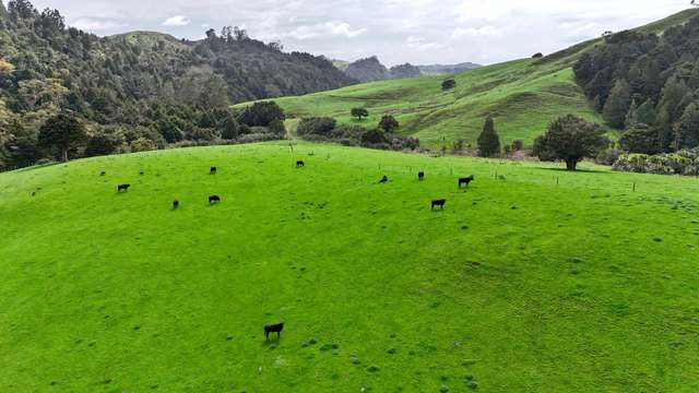 325 Haruru Road Kaukapakapa_4