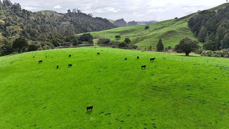 325 Haruru Road Kaukapakapa_4