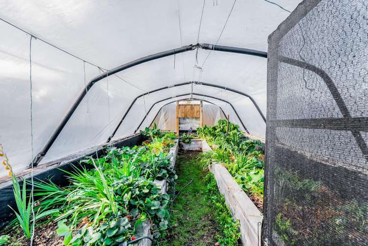 37 Warwick Road Stratford_29