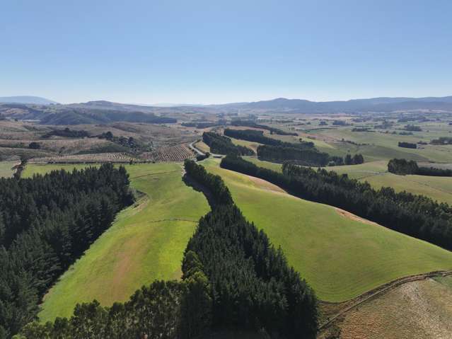 341 Table Hill Road Milton_4