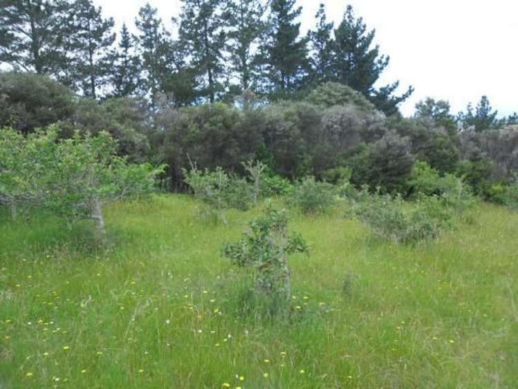 379b Cowes Bay Road Waiheke Island_14