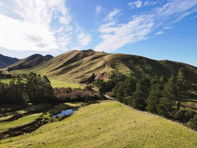 Lot 2/9 Tamaki East Road Dannevirke_4