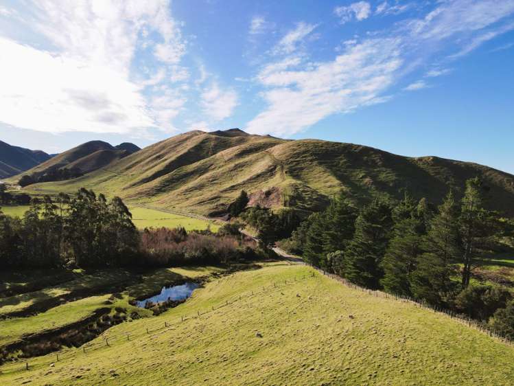 Lot 2/9 Tamaki East Road Dannevirke_3