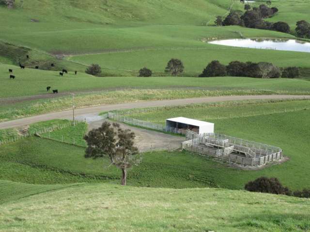 512 Nicholls Road Central Hawkes Bay Country_3