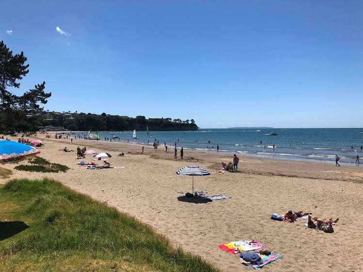 98 Oaktree Avenue Browns Bay_14