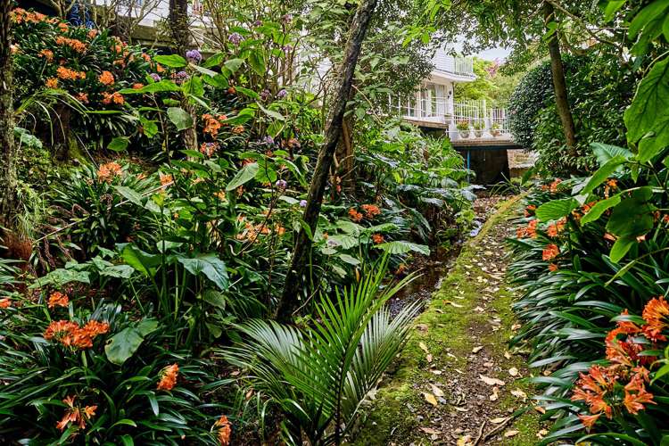 15 Waitohu Road York Bay_17