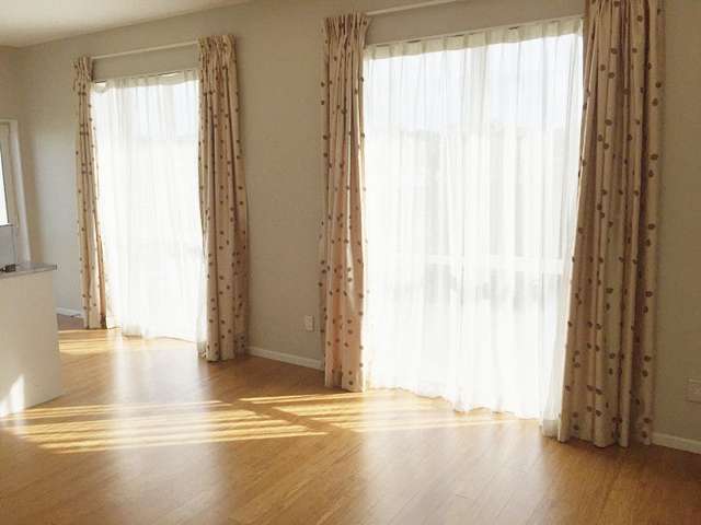 237 Jeffs Road Flat Bush_1