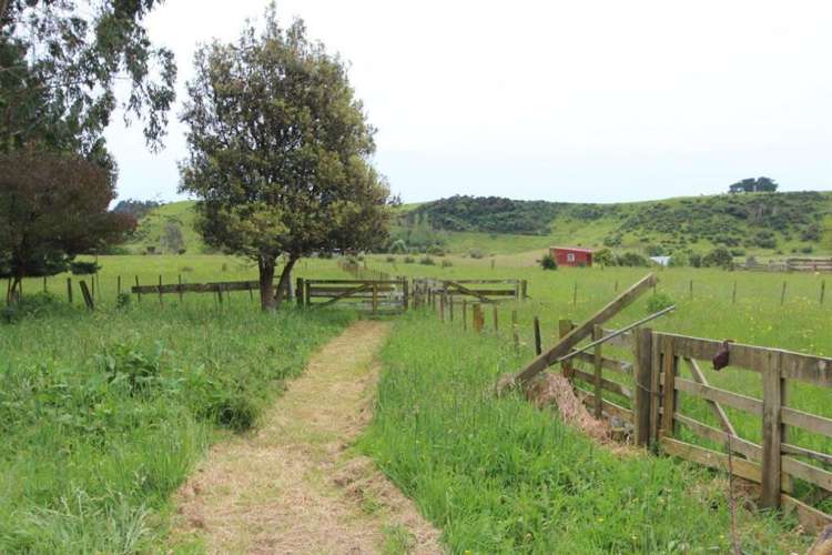 272 Potts Road Koputaroa_17