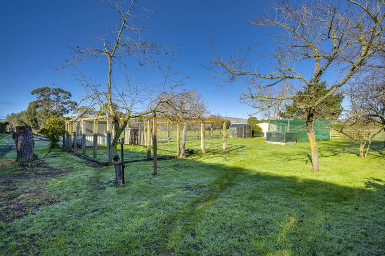 637 St Georges Road South Havelock North_24