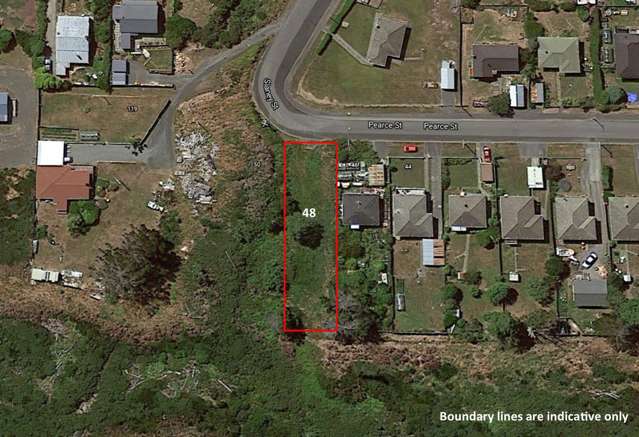 48 Pearce Street Bluff_2