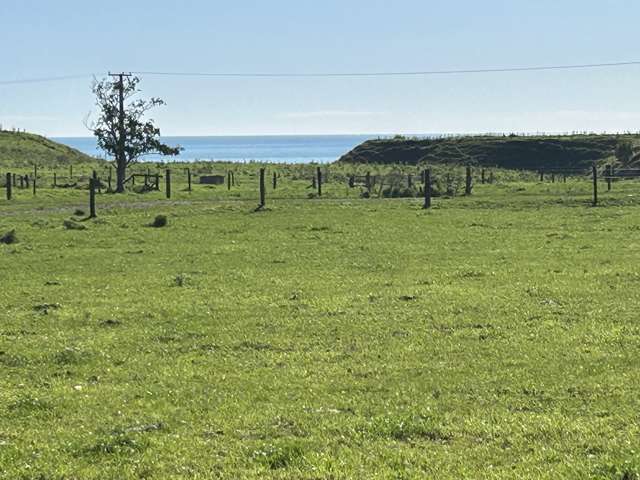 Lot 5/Near 127 Waitoetoe Road Urenui_1