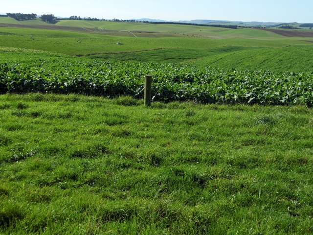 301 Whartons Road Five Forks and Surrounds_3