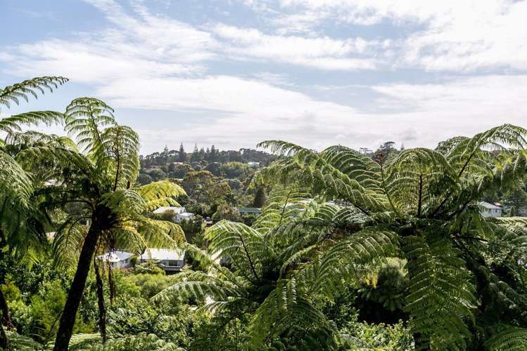 4a Wallace Place Westown_13