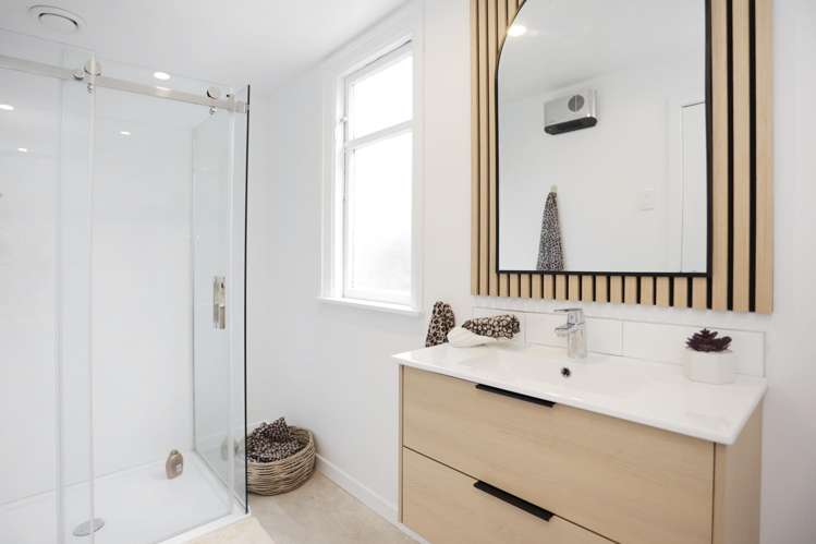 50 Albert Street St Clair_17