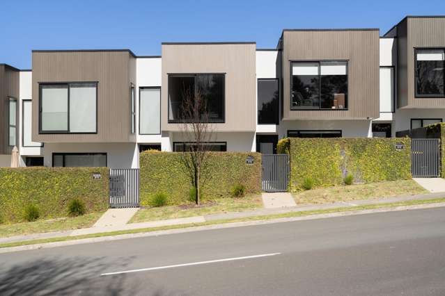 7/12 Westmorland Rise Bethlehem_3