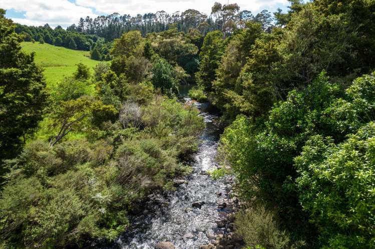 4 Field View Kerikeri_22