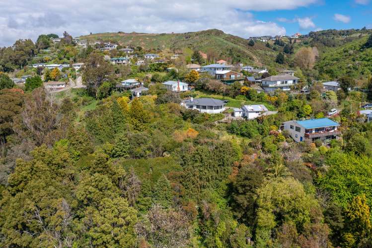 61 Jenner Road Toi Toi_18