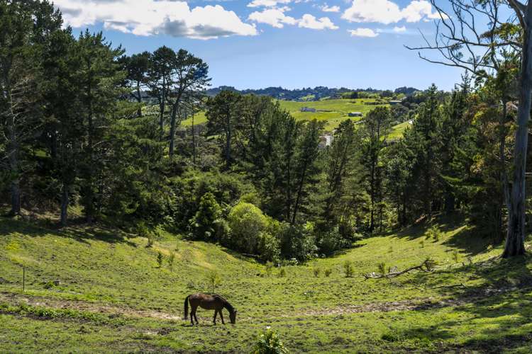 235 Glenmore Road Coatesville_17