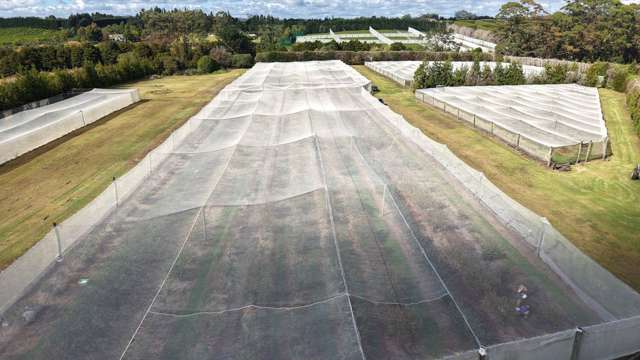 71e Keri Downs Road Kerikeri_2