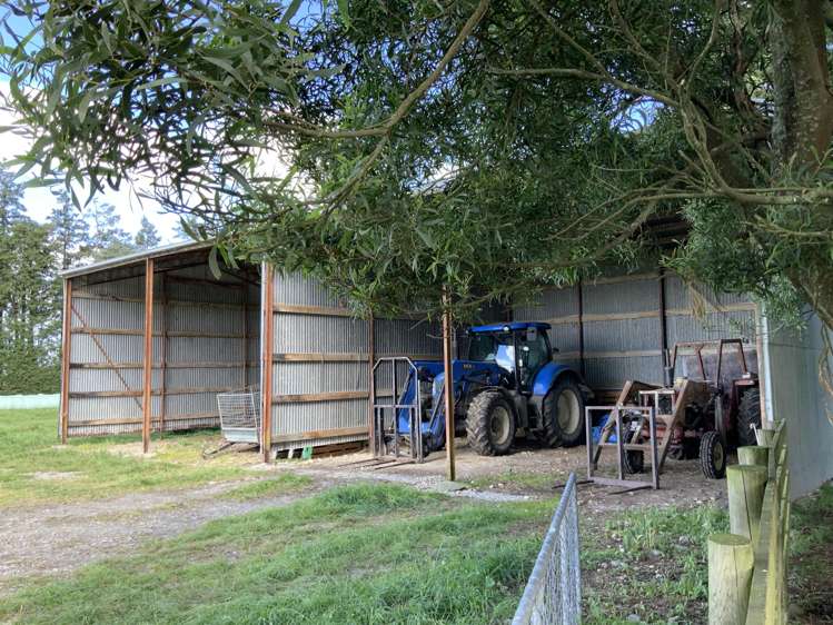 1710 Ealing Montalto Road Ashburton_19