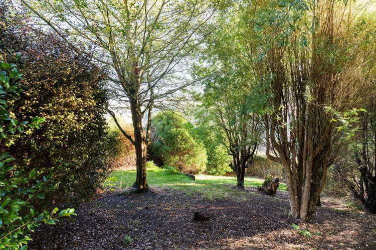 28 Barr Street Kenmure_9