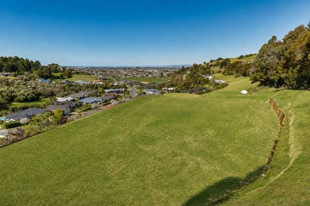 106 Kent Terrace Taradale_3