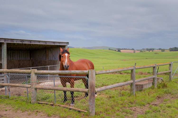 3532 Waimate Highway Morven_18