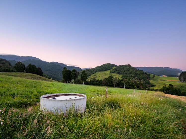 348D Rea Road Katikati_30